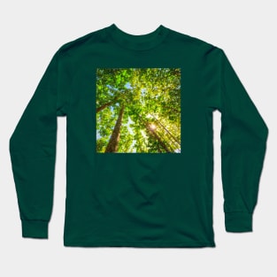 Sun Shining Through A Vibrant Leafy Forest Long Sleeve T-Shirt